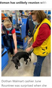 店内でまっすぐジューンさんのもとに向かったアビー（画像は『Tulsa World　2020年12月2日付「Miracle on Register 6: Woman has unlikely reunion with dog at Alabama Walmart」（SUBMITTED BY DANIELLE ROBINETTE）』のスクリーンショット）