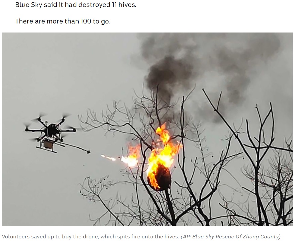 ピンポイントで巣を狙い焼き払う（画像は『ABC News　2020年12月13日付「Chinese volunteers use flamethrower drone to eradicate wasp nests in village near Chongqing」（AP: Blue Sky Rescue Of Zhong County）』のスクリーンショット）
