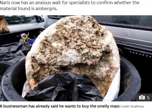 大きな塊の一つ（画像は『The Sun　2020年11月30日付「MOBY SICK Penniless fisherman finds ‘world’s largest-ever’ blob of whale vomit worth £2.4MILLION because it’s used in perfume」（Credit: ViralPress）』のスクリーンショット）
