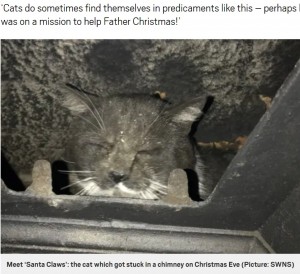 暖炉のフタを開けるとススだらけの猫が！（画像は『Metro　2020年12月25日付「Cat rescued after getting stuck in a chimney on Christmas Eve」（Picture: SWNS）』のスクリーンショット）