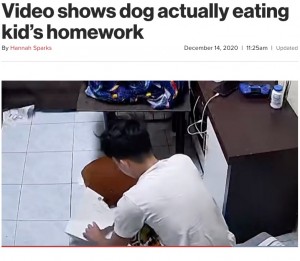 床に散乱した紙くずを見て愕然とする少年（画像は『New York Post　2020年12月14日付「Video shows dog actually eating kid’s homework」（Newsflare）』のスクリーンショット）