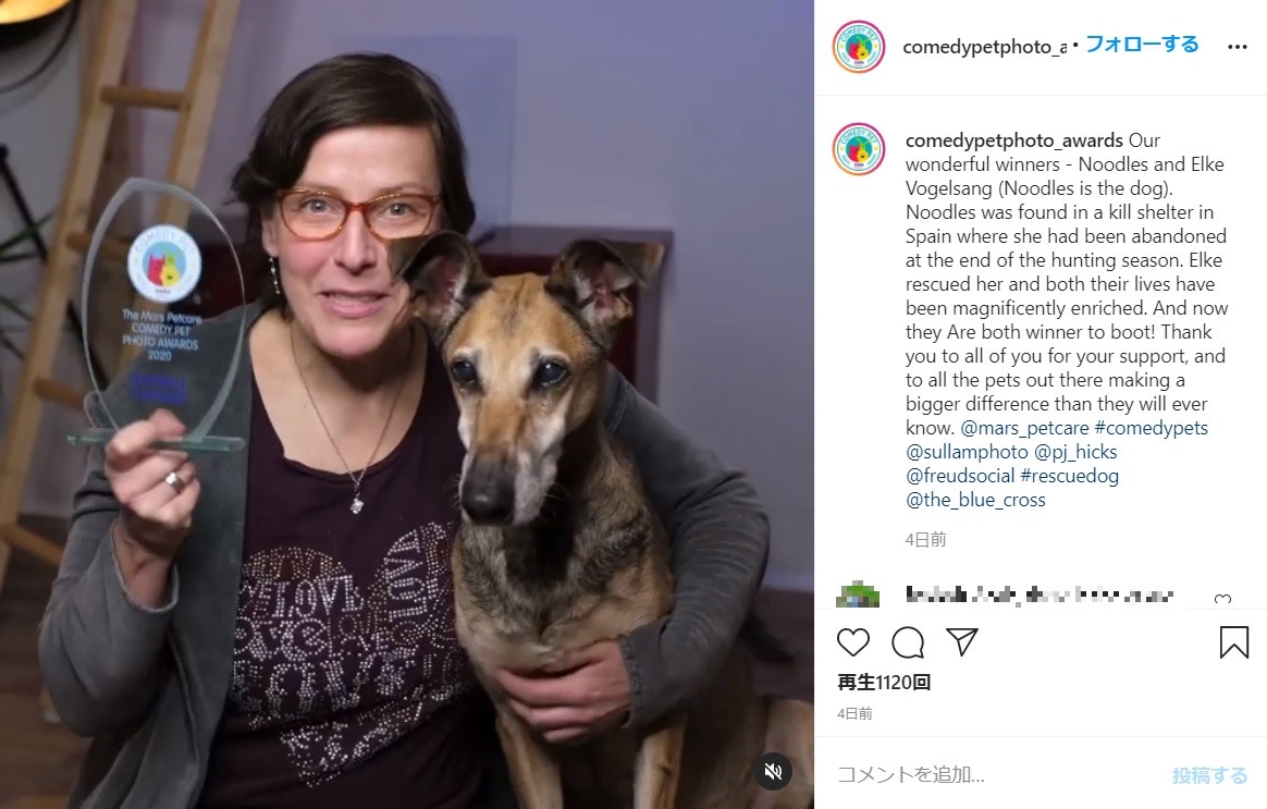 優勝トロフィーを手にインタビューに応じる飼い主と犬（画像は『MarsPetcare ComedyPhotoAwards　2020年11月26日付Instagram「Our wonderful winners」』のスクリーンショット）