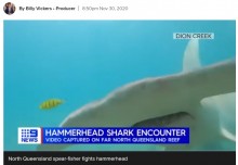 【海外発！Breaking News】ダイビング中にシュモクザメと遭遇　難を逃れるも水中カメラが恐怖の瞬間を捉える（豪）＜動画あり＞