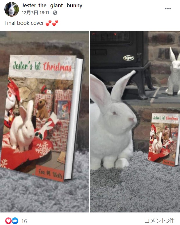 モデルを務めた本と並ぶジェスター（画像は『Jester_the _giant _bunny　2020年12月3日付Facebook「Final book cover」』のスクリーンショット）