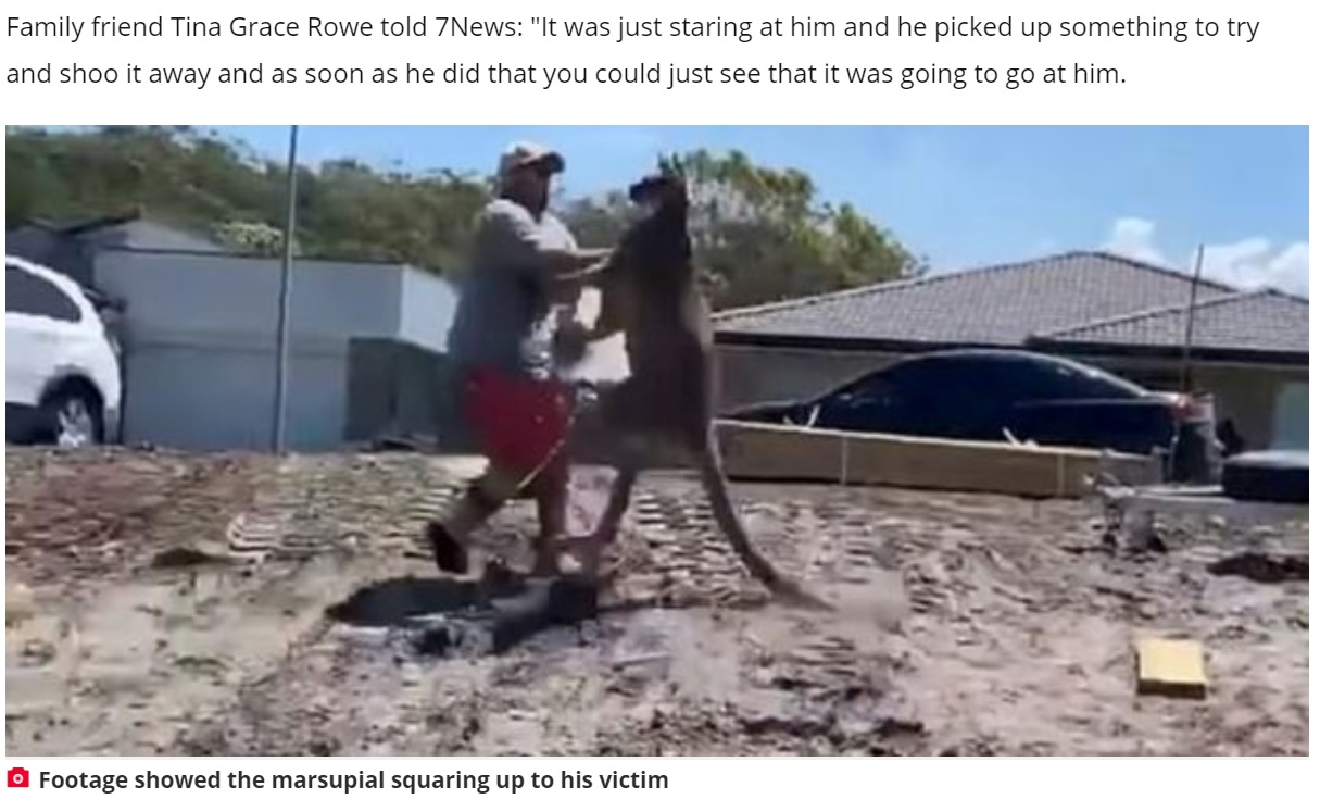 男性と同じ背丈のカンガルーが猛攻撃（画像は『Daily Star　2020年12月28日付「Kangaroo floors dad with punch as he tries to protect kids in chilling footage」』のスクリーンショット）