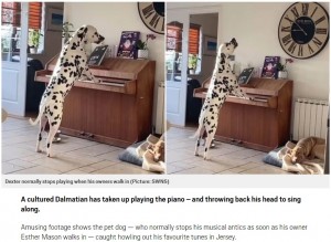 【海外発！Breaking News】飼い主が見ていない隙に、ピアノを弾いて歌うダルメシアン（英）＜動画あり＞
