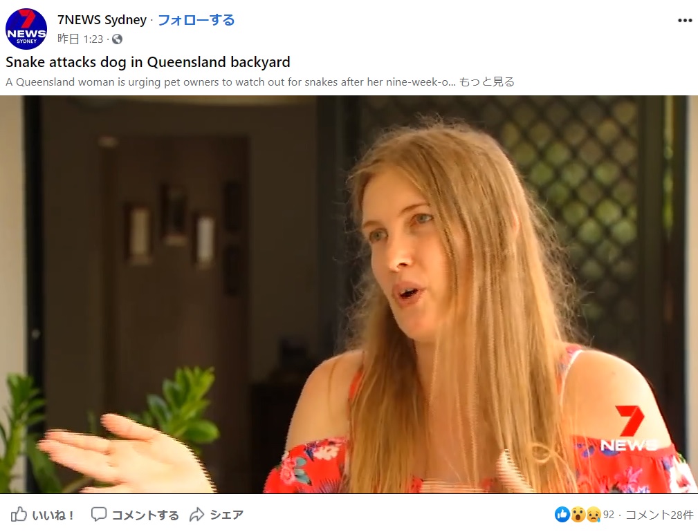 「無我夢中で助けた」とミシェルさん（画像は『7NEWS Sydney　2020年12月1日付Facebook「A Queensland woman is urging pet owners to watch out for snakes after her nine-week-old puppy was choked by a carpet python in her backyard.」』のスクリーンショット）
