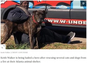 【海外発！Breaking News】火災発生した動物保護シェルターで16匹の犬猫を救出　ホームレス男性に「彼はヒーロー」の声（米）