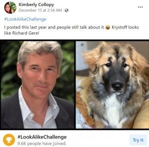 リチャード・ギアにそっくりな犬（画像は『Kimberly Collopy　2020年12月15日付Facebook「＃LookAlikeChallenge」』のスクリーンショット）