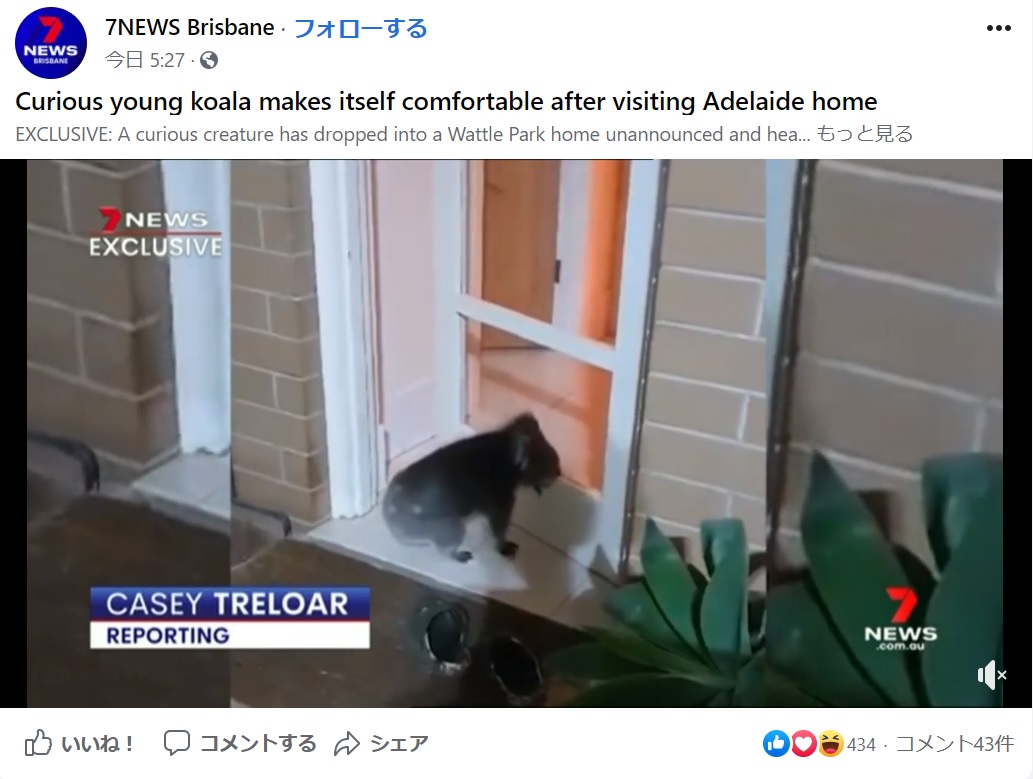 ガラス戸を押し開けてリアムさんの家に入っていったオードリー（画像は『7NEWS Brisbane　2020年12月22日付Facebook「EXCLUSIVE: A curious creature has dropped into a Wattle Park home unannounced and headed straight for the bar.」』のスクリーンショット）