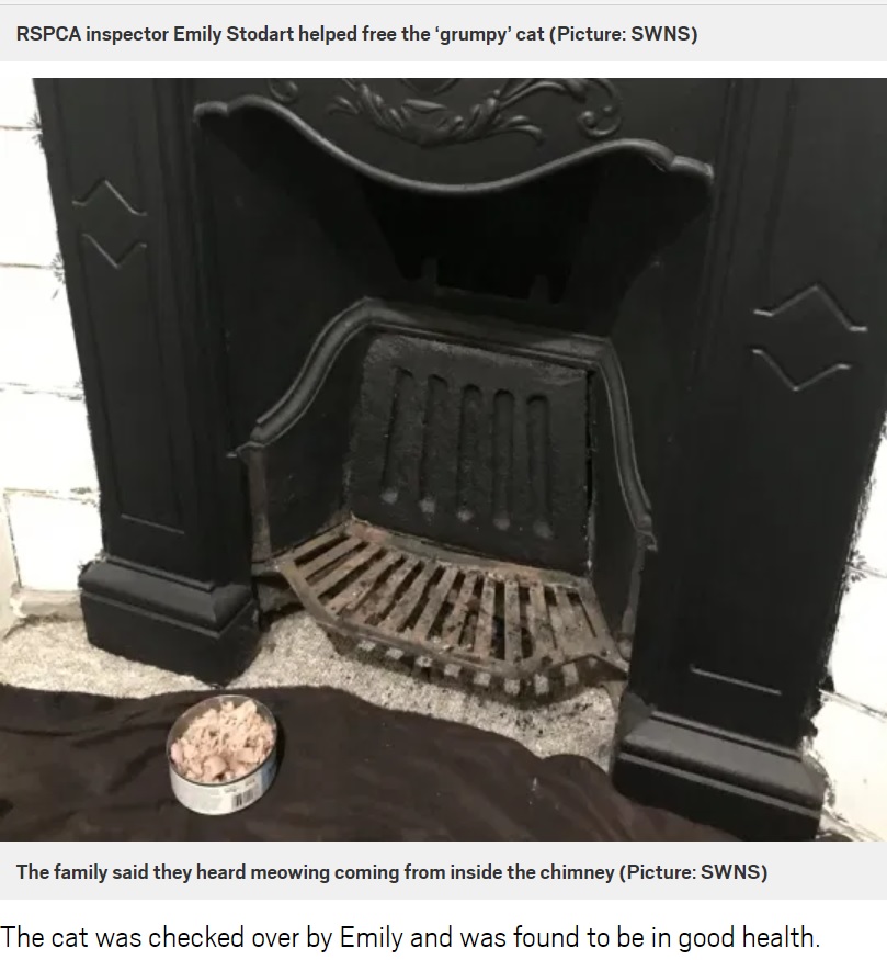 暖炉にいたのはサンタではなく…（画像は『Metro　2020年12月25日付「Cat rescued after getting stuck in a chimney on Christmas Eve」（Picture: SWNS）』のスクリーンショット）