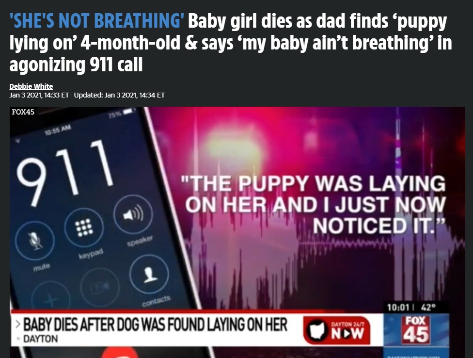 レイリンちゃんの死と飼い犬との因果関係は現在も警察が捜査中（画像は『The US Sun　2021年1月3日付「‘SHE’S NOT BREATHING’ Baby girl dies as dad finds ‘puppy lying on’ 4-month-old ＆ says ‘my baby ain’t breathing’ in agonizing 911 call」（Credit: GoFundMe）』のスクリーンショット）