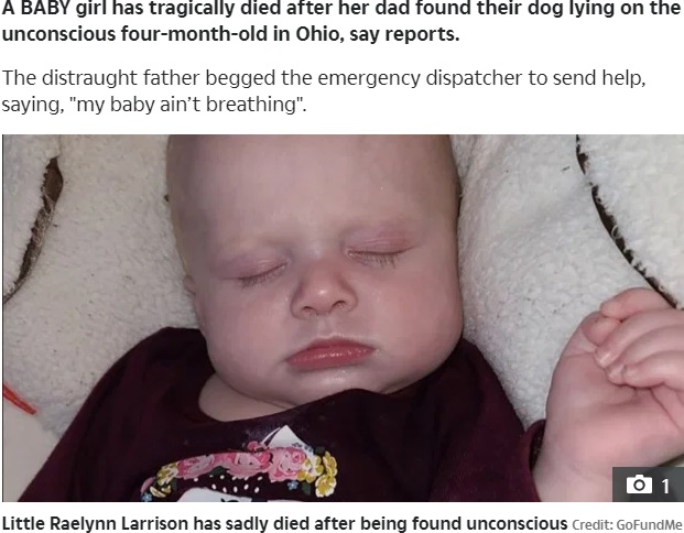 生後4か月の女児、呼吸停止でその後息を引き取る（画像は『The US Sun　2021年1月3日付「‘SHE’S NOT BREATHING’ Baby girl dies as dad finds ‘puppy lying on’ 4-month-old ＆ says ‘my baby ain’t breathing’ in agonizing 911 call」（Credit: GoFundMe）』のスクリーンショット）