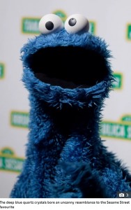 アメリカの子供教育番組『セサミストリート』に登場する「クッキーモンスター」（画像は『The Sun　2021年1月21日付「STONE ME! Rock could be worth up to ￡7,300 after experts find the Cookie Monster’s face inside」』のスクリーンショット）