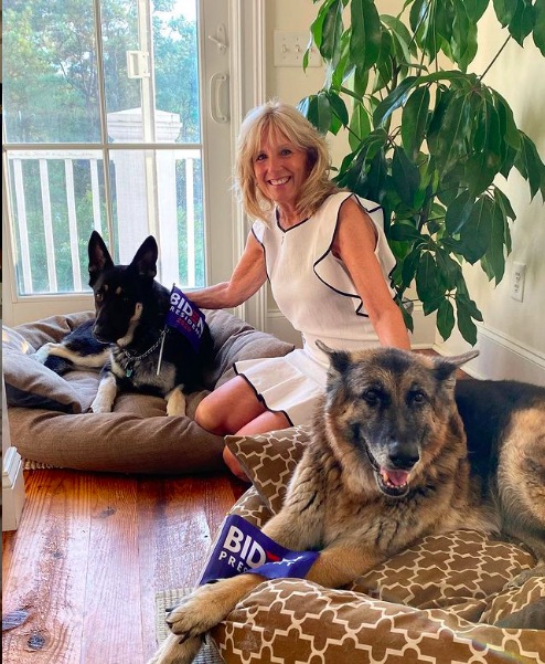ジル夫人、昨年8月のナショナル・ドッグデーに愛犬達との写真をアップ（画像は『Dr. Jill Biden　2020年8月26日付Instagram「Build Bark Better.」』のスクリーンショット）