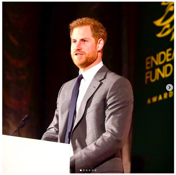 連邦議会議事堂襲撃事件に言及したヘンリー王子（画像は『The Duke and Duchess of Sussex　2019年12月9日付Instagram「Spotlight on: Endeavour Fund」』のスクリーンショット）