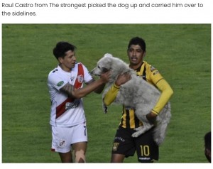 【海外発！Breaking News】サッカー試合に乱入した野良犬、2日後に怪我をして選手が飼い主に（ボリビア）＜動画あり＞
