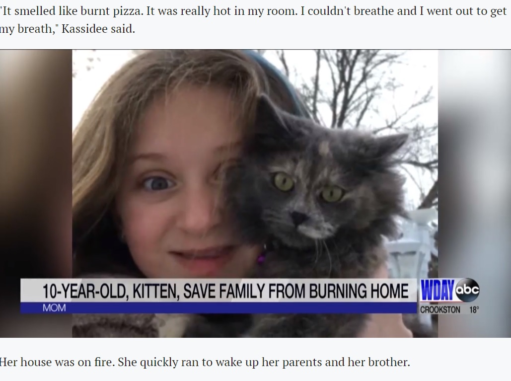 火事を女児に知らせたものの、自らは犠牲になった猫（画像は『INFORUM　2021年1月28日付「10-year-old girl, kitten save Pembina County family from burning homes」』のスクリーンショット）