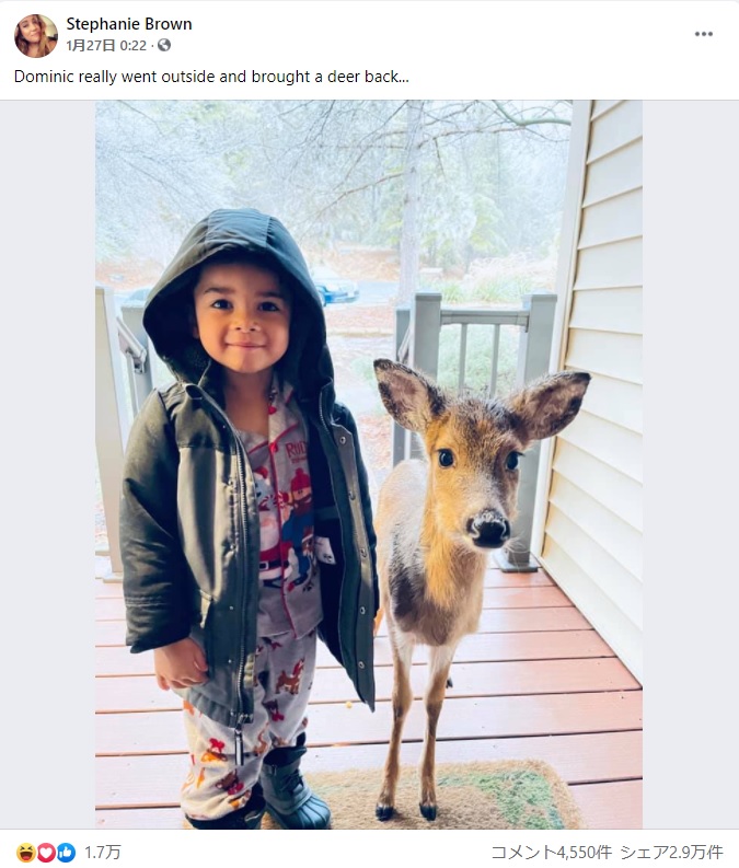 外で遊び終えた男児、小鹿を連れて帰宅（画像は『Stephanie Brown　2021年1月27日付Facebook「Dominic really went outside and brought a deer back...」』のスクリーンショット）