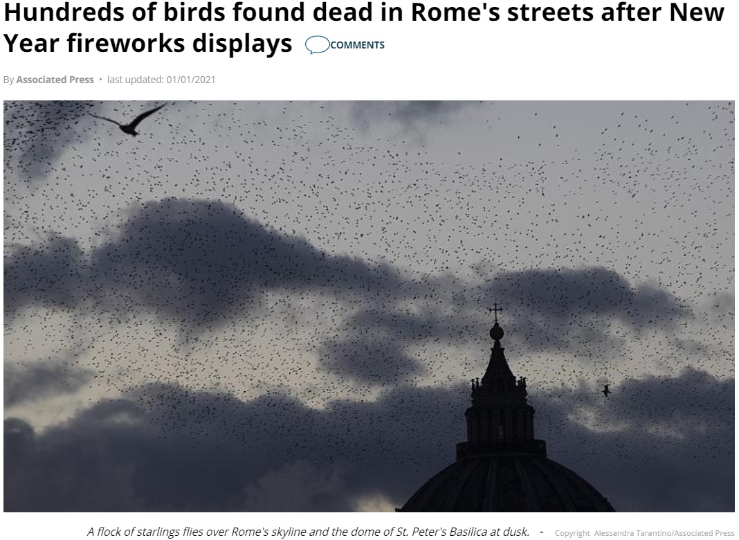 越冬のため群れをなしてローマに飛来するムクドリ（画像は『Euronews　2021年1月1日付「Hundreds of birds found dead in Rome’s streets after New Year fireworks displays」（Copyright  Alessandra Tarantino/Associated Press）』のスクリーンショット）