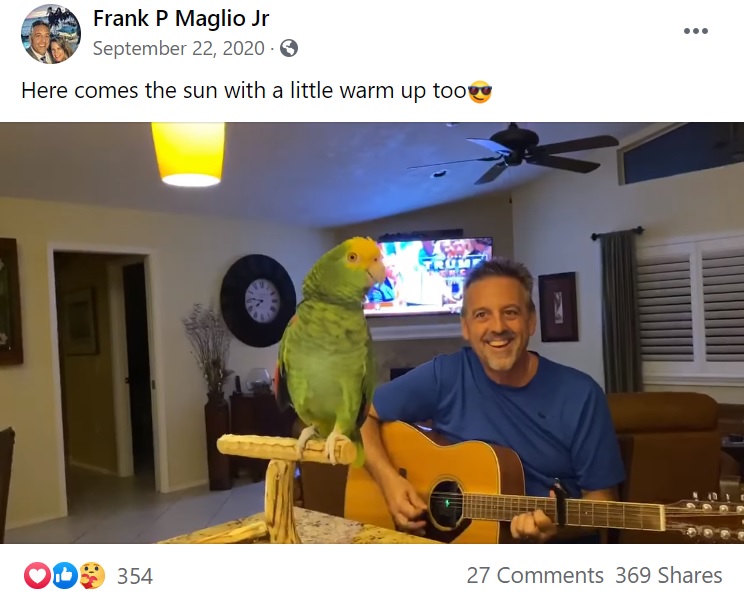 ギターに合わせて名曲を歌うインコ（画像は『Frank P Maglio Jr　2020年9月22日付Facebook「Here comes the sun with a little warm up too」』のスクリーンショット）