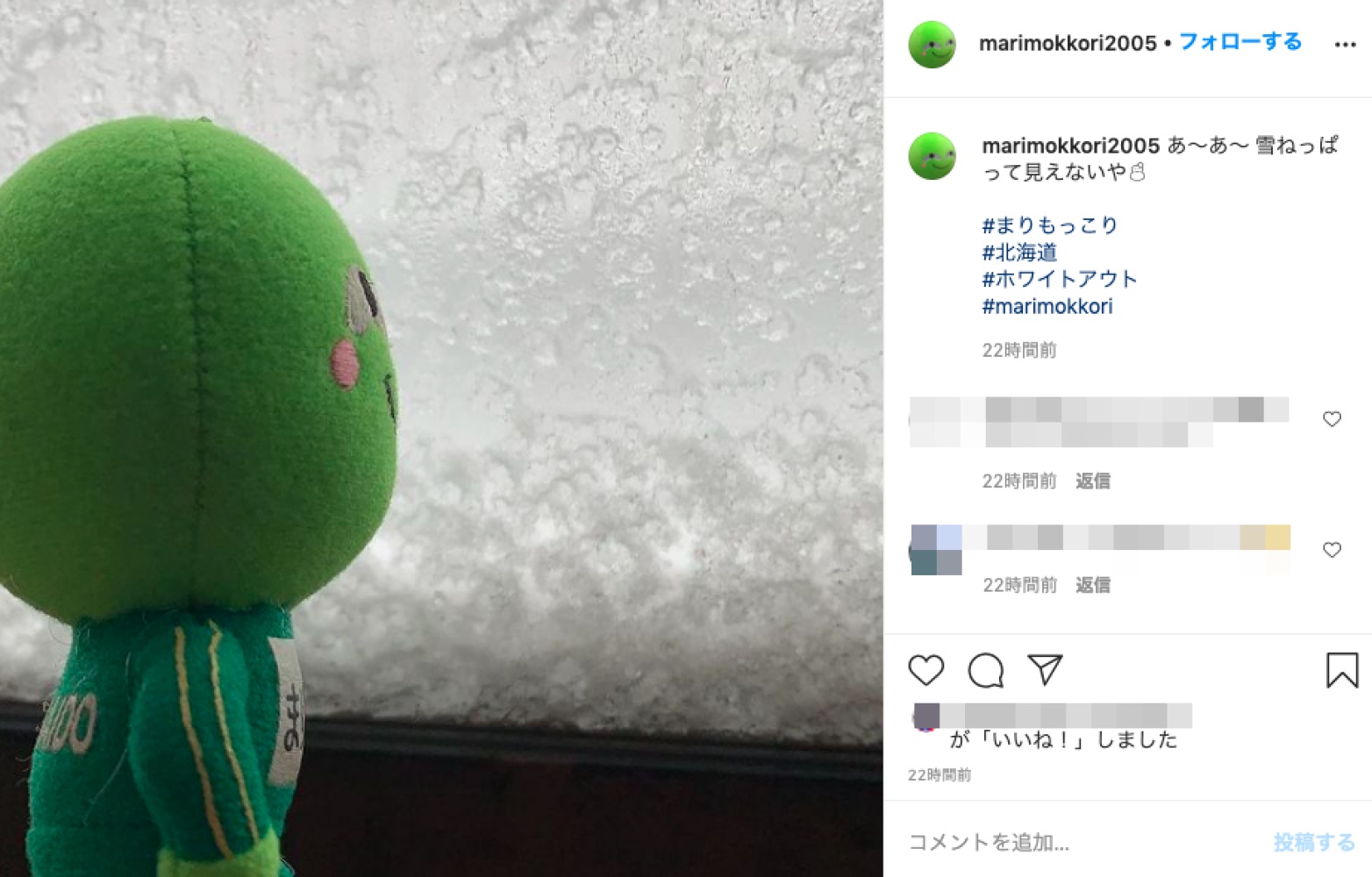 吹雪のため窓から外の景色が見えず（画像は『まりもっこり　2021年1月19日付Instagram「あ～あ～ 雪ねっぱって見えないや」』のスクリーショット）