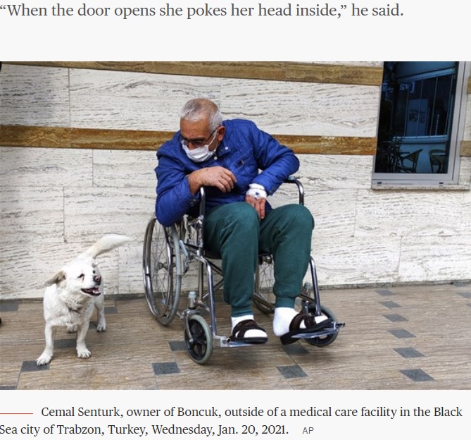 退院したジェマルさんに会えて喜ぶボンジュク（画像は『TODAY　2021年1月22日付「‘She comes every day:’ Dog follows ambulance to hospital, waits for owner」（AP）』のスクリーンショット）