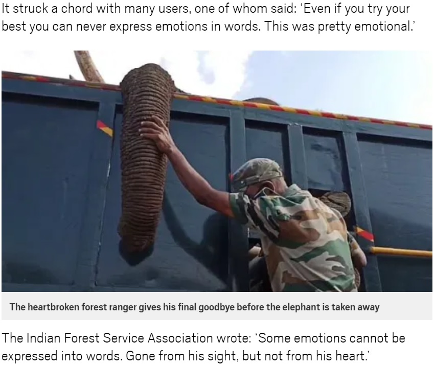 ゾウと最期の別れをする森林警備隊員（画像は『Metro 　2021年1月22日付「Forest ranger gives tearful goodbye to elephant he cared for before it died」』のスクリーンショット）