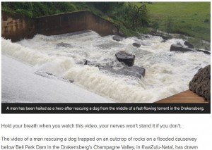 【海外発！Breaking News】ダムの岩場に取り残された犬を濁流の中で救出した男性「放っておけなかった」（南ア）＜動画あり＞
