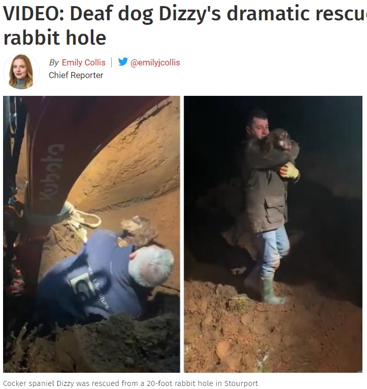 ショベルカーによる捜索の末、愛犬と再会果たす（画像は『The Kidderminster Shuttle　2021年1月5日付「VIDEO: Deaf dog Dizzy’s dramatic rescue from Stourport rabbit hole」』のスクリーンショット）