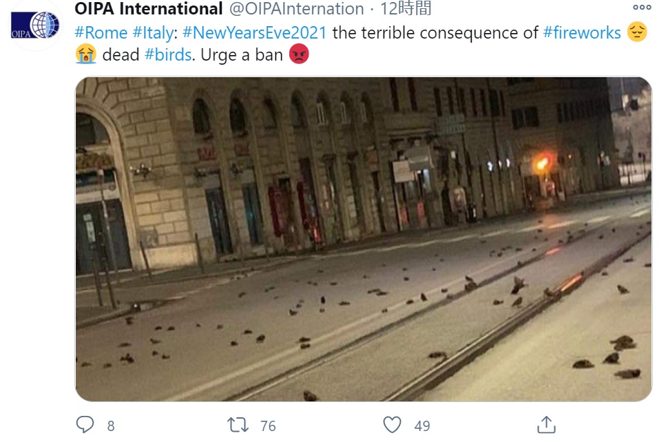 ムクドリの死は花火が原因か（画像は『OIPA International　2020年1月2日付Twitter「＃Rome ＃Italy: ＃NewYearsEve2021 the terrible consequence of ＃fireworks」』のスクリーンショット）