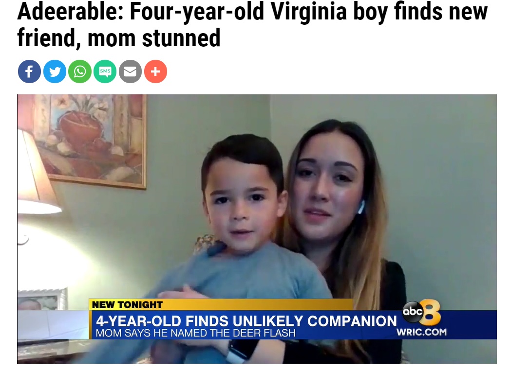 ニュース番組でも取り上げられ、ドミニク君の行動に視聴者は驚くことに（画像は『Richmond News ＆ Weather　2021年1月28日付「Adeerable: Four-year-old Virginia boy finds new friend, mom stunned」』のスクリーンショット）