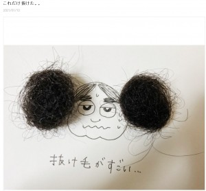 抜け毛を丸めて作った“ミニえのうえ”を披露（画像は『ニッチェ 江上敬子　2020年1月13日付オフィシャルブログ「これだけ抜けた。。」』のスクリーンショット）