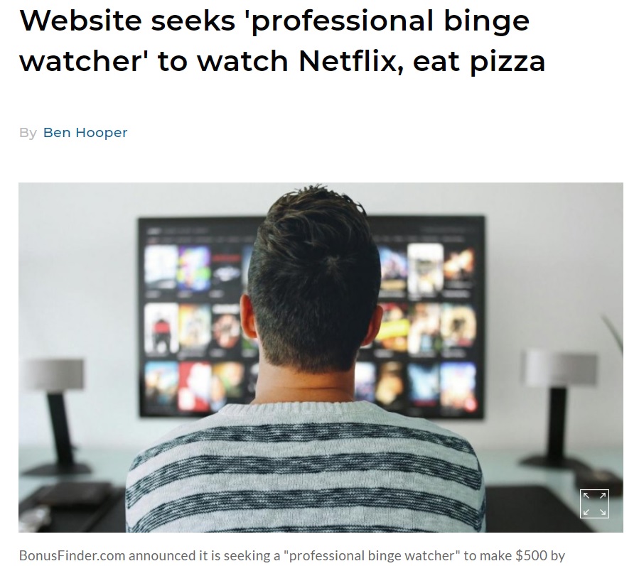 休日にピザを食べながらNetflixを見ている人にうってつけの仕事！（画像は『UPI.com　2021年1月12日付「Website seeks ‘professional binge watcher’ to watch Netflix, eat pizza」（Photo by mohamed_hassan/Pixabay.com）』のスクリーンショット）