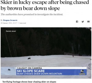 【海外発！Breaking News】背後に迫るヒグマにスキー客、冷静な行動により間一髪で無事（ルーマニア）