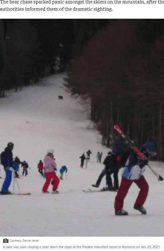 ヒグマの出現にスキー板を外して逃げる人々（画像は『ABC News　2021年1月28日付「Skier in lucky escape after being chased by brown bear down slope」（Courtesy Daniel Jenei）』のスクリーンショット）