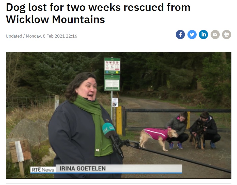ニーシャに再会し、喜ぶエリーナさん一家（画像は『RTÉ　2021年2月8日付「Dog lost for two weeks rescued from Wicklow Mountains」』のスクリーンショット）