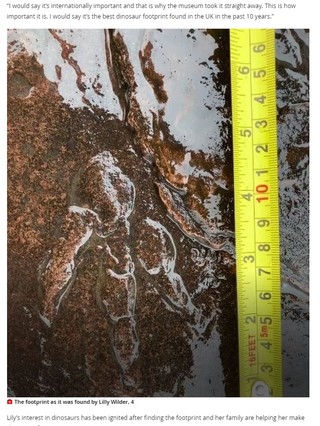 約10センチだった恐竜の足跡（画像は『WalesOnline　2021年1月30日付「Perfect 215-million-year-old dinosaur print found by girl, 4, on Welsh beach」』のスクリーンショット）