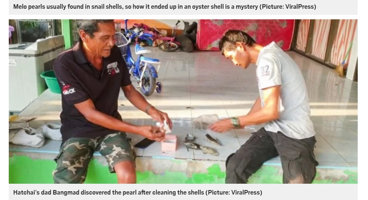 牡蠣を洗おうとしたバンマッドさんが、最初にメロパールを発見（画像は『Metro　2021年2月4日付「Poor fisherman finds rare pearl worth ￡250,000 while picking up shells」（Picture: ViralPress）』のスクリーンショット）