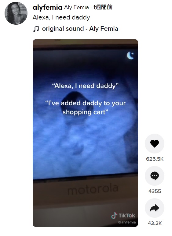 “パパ”という予想外の買い物に困惑気味のアレクサ（画像は『Aly Femia　2021年2月18日付TikTok「Alexa, I need daddy」』のスクリーンショット）