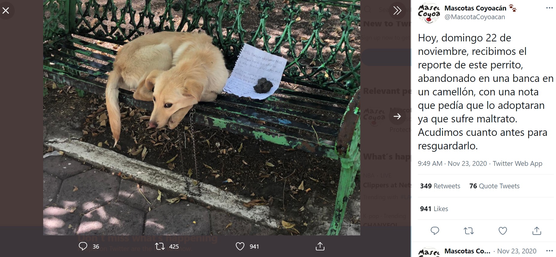公園のベンチに繋がれた犬と子供が書いた手紙（画像は『Mascotas Coyoacán　2020年11月23日付Twitter「Hoy, domingo 22 de noviembre」』のスクリーンショット）