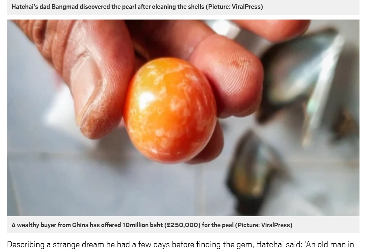 なぜか牡蠣の中から発見されたオレンジ色の天然真珠（画像は『Metro　2021年2月4日付「Poor fisherman finds rare pearl worth ￡250,000 while picking up shells」（Picture: ViralPress）』のスクリーンショット）