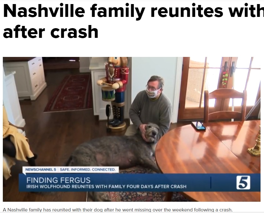 無事に愛犬と再会できたミッキーさん（画像は『NewsChannel 5 Nashville WTVF　2021年2月4日付「Nashville family reunites with lost dog days after crash」』のスクリーンショット）