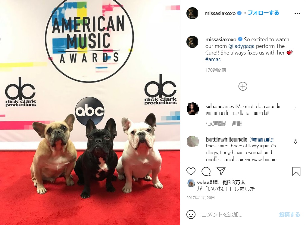 左からコジ、ミス・アジア、グスタフ（画像は『Miss Asia　2017年11月19日付Instagram「So excited to watch our mom ＠ladygaga perform The Cure!!」』のスクリーンショット）