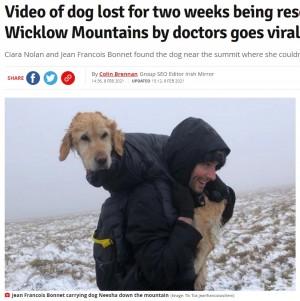 【海外発！Breaking News】冬の山で2週間迷子だった大型犬、登山客が見つけ担いで下山（アイルランド）