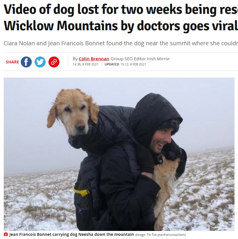 ゴールデンレトリバーを担いで険しい道のりを下山する男性（画像は『Irish Mirror　2021年2月8日付「Video of dog lost for two weeks being rescued from Wicklow Mountains by doctors goes viral」（Image: Tik Tok jeanfrancoiswillem）』のスクリーンショット）