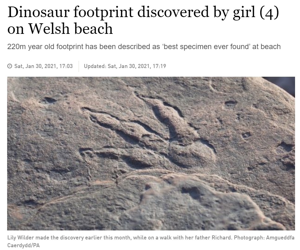 足跡の保存状態の良さに学芸員たちも驚く（画像は『The Irish Times　2021年1月30日付「Dinosaur footprint discovered by girl （4） on Welsh beach」（Photograph: Amgueddfa Caerdydd/PA）』のスクリーンショット）