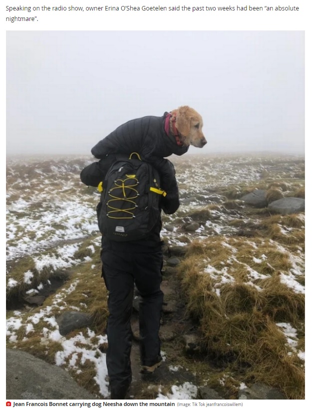 ジョンさんは一部雪に覆われた道で、何回か転んでしまったという（画像は『Irish Mirror　2021年2月8日付「Video of dog lost for two weeks being rescued from Wicklow Mountains by doctors goes viral」（Image: Tik Tok jeanfrancoiswillem）』のスクリーンショット）