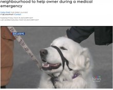 【海外発！Breaking News】散歩中に飼い主が発作、走行中の車を止めて助けを求めた犬（カナダ）＜動画あり＞