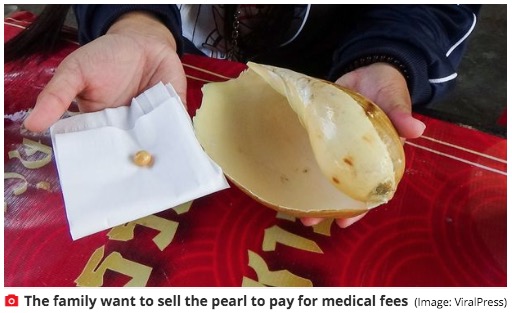 メロパールを「高値で買い取ってもらえたら」と願うコッチャコーンさん（画像は『Mirror　2021年3月27日付「Penniless woman finds orange pearl worth tens of thousands of pounds in her meal」（Image: ViralPress）』のスクリーンショット）